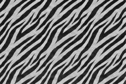 Zebra striped wallpaper