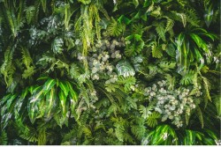 Tropical leaves wallpaper