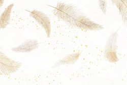Carte da Parati piume