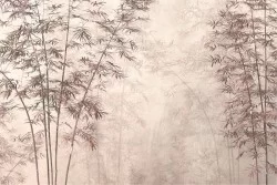 Carte da Parati foresta tropicale