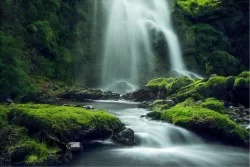 Carte da Parati cascata zen