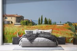 Wallpaper landscape blooming hills