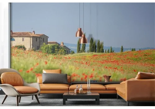 Wallpaper landscape blooming hills 2