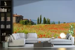 Wallpaper landscape with poppies