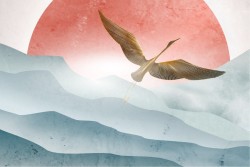 Zen sunset wallpaper