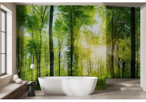 Green forest sun wallpaper