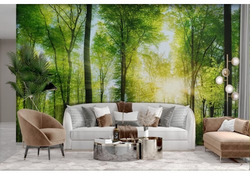 Green forest sun wallpaper 2