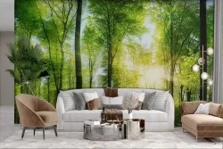 Adhesive Wallpaper Green Forest Sun