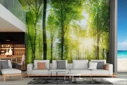 Green forest wallpaper