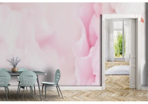 Carta da Parati petali di rosa bianca e rosa natura 2