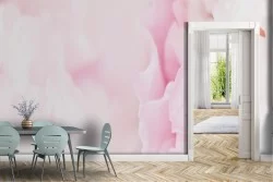 Carta da Parati petali di rosa bianca e rosa natura