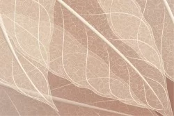 Wallpaper stylized leaves brown background