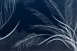 Wallpaper stylized leaves dark background