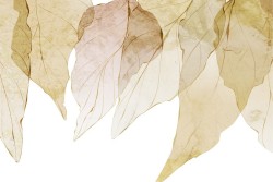 Wallpaper autumn stylized leaves