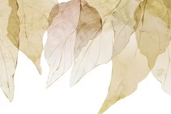 Wallpaper autumn stylized leaves