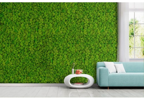 Green moss wallpaper