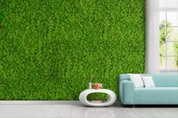 Green moss wallpaper