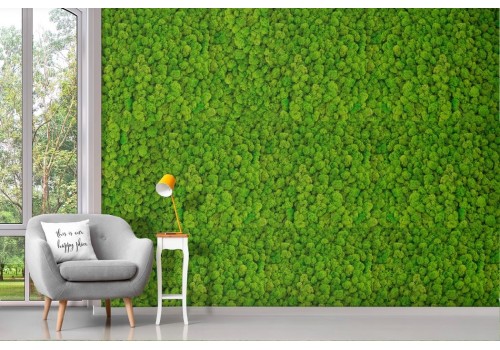 Green moss wallpaper 2