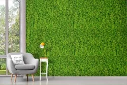 Green Moss Adhesive Wallpaper