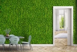 Carta da Parati bosco verde