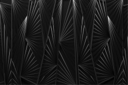 Stylized black wallpaper
