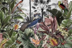 Tropical forest wallpaper