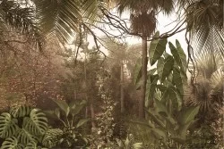 Carte da Parati jungla con foglie tropicali