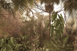 Jungle wallpaper with tropical leaves