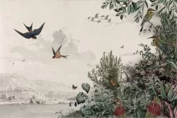 Wallpaper landscape flowers and birds