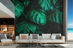 Tropical large green leaves wallpaper