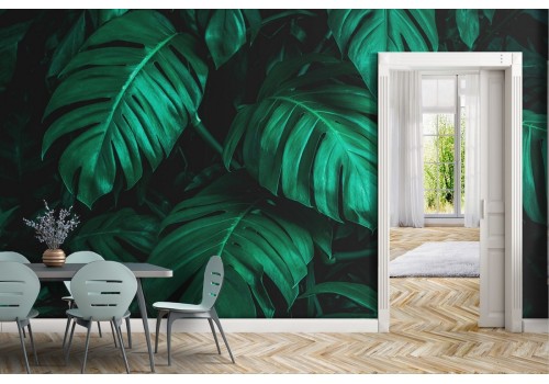 Tropical large green leaves wallpaper 2