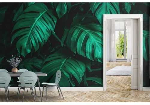 Tropical large green leaves wallpaper 2