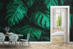 Tropical large green leaves wallpaper