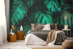 Carta da Parati Foglie Tropicale