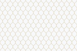 Carte da Parati cerchi oro