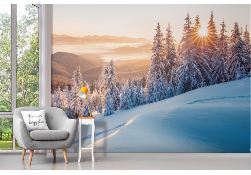 Carta da parati bosco innevato tramonto 2