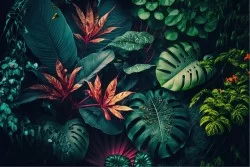 Tropical leaves wallpaper