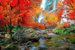 Carte da Parati natura con cascata
