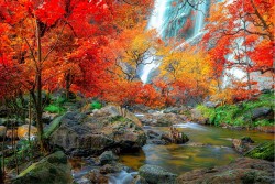 Nature wallpaper with waterfall
