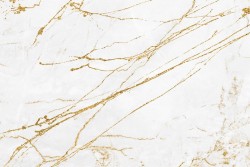 Marble wallpaper with gold finishes