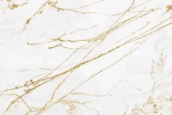 Marble wallpaper with gold finishes