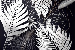 White leaves wallpaper black background