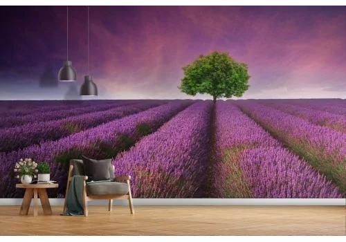 Purple Lavender Meadow Wallpaper -a445