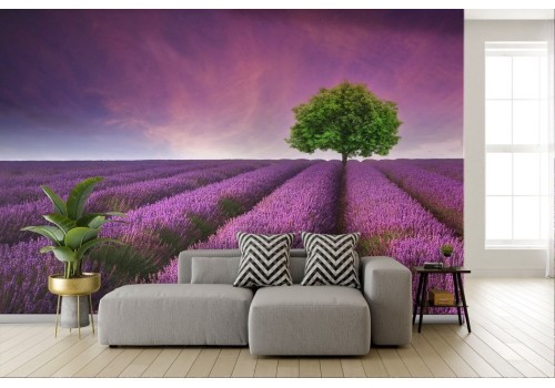 Purple lavender meadow wallpaper 2