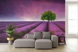 Adhesive Wallpaper Lavender Purple Meadow