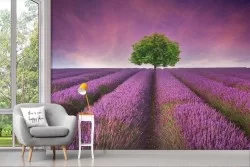 Purple Meadow Wallpaper