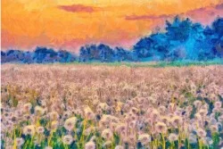 Wallpapers with artistic canvas effect