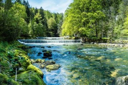 Carte da Parati bosco con cascata