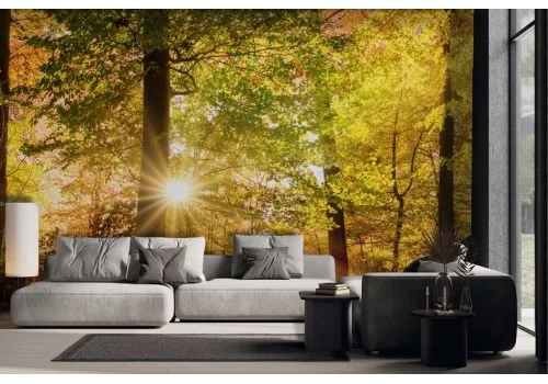 Orange autumn forest wallpaper