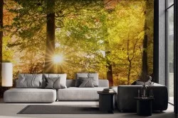 Carta da parati bosco autunno arancione